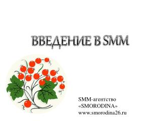 ВВЕДЕНИЕ В SMM