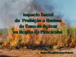 Impacto Social da Proibição a Queima da Cana-de-Açúcar na Região de Piracicaba