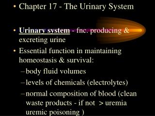 Chapter 17 - The Urinary System Urinary system - fnc. producing &amp; excreting urine