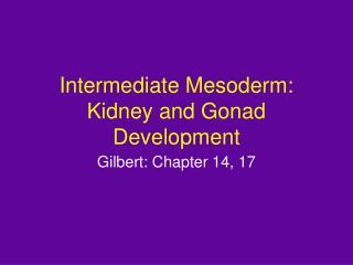 Intermediate Mesoderm: Kidney and Gonad Development