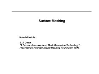 Surface Meshing