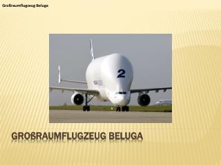 Großraumflugzeug Beluga