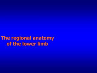 The regional anatomy of the lower limb