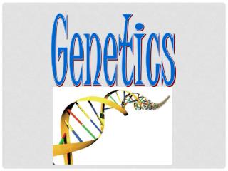 Genetics