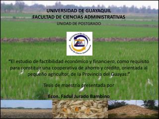 UNIVERSIDAD DE GUAYAQUIL FACULTAD DE CIENCIAS ADMINISTRATIVAS UNIDAD DE POSTGRADO