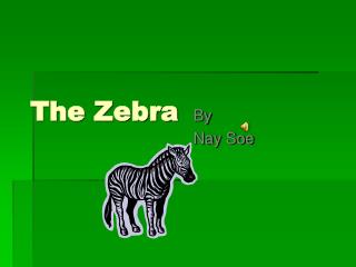 The Zebra