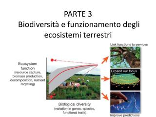 PARTE 3 Biodiversità e funzionamento degli ecosistemi terrestri