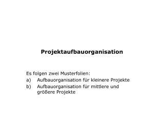 Projektaufbauorganisation