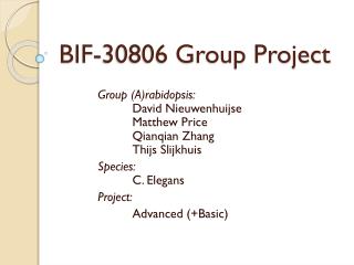 BIF-30806 Group Project