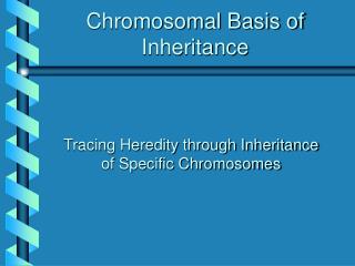 Chromosomal Basis of Inheritance