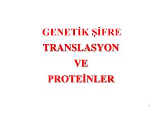 TRANSLASYON VE PROTEİNLER