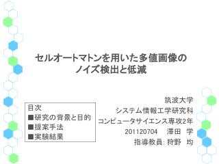 セルオートマトンを用いた多値画像の ノイズ検出と低減