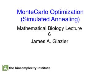 MonteCarlo Optimization (Simulated Annealing)