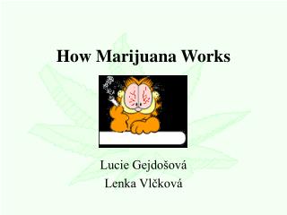 How Marijuana Works