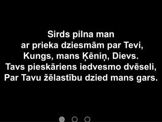 062_Sirds_pilna_man