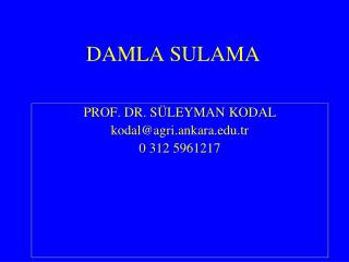 DAMLA SULAMA