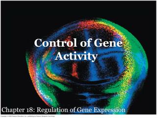 Control of Gene Activity