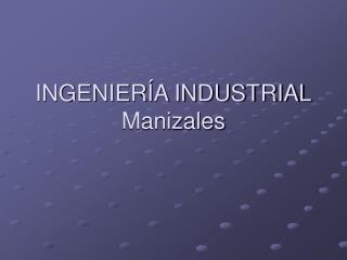 INGENIERÍA INDUSTRIAL Manizales