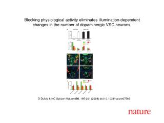 D Dulcis &amp; NC Spitzer Nature 456 , 195-201 (2008) doi:10.1038/nature07569