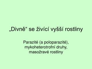 „Divně“ se živící vyšší rostliny