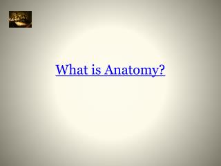 What is Anatomy?