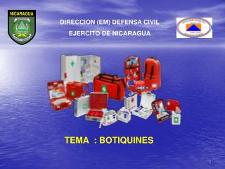 TEMA : BOTIQUINES