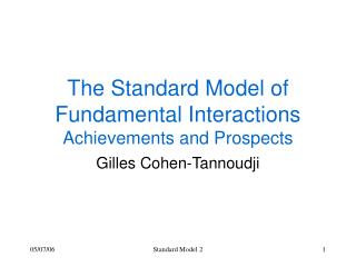 The Standard Model of Fundamental Interactions Achievements and Prospects