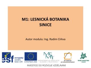 M1: LESNICKÁ BOTANIKA SINICE