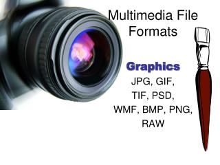 Multimedia File Formats