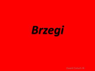 Brzegi