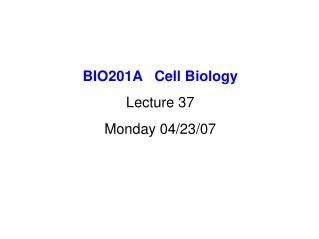 BIO201A Cell Biology Lecture 37 Monday 04/23/07