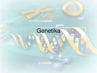 Genetika