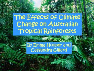 The Effects of Climate Change on Australian Tropical Rainforests