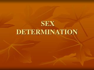 SEX DETERMINATION