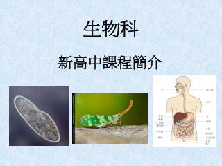 生物科