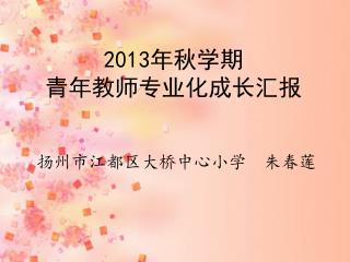 2013 年秋学期 青年教师专业化成长汇报