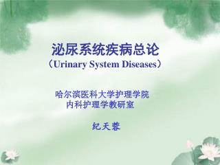泌尿系统疾病总论 （ Urinary System Diseases ）