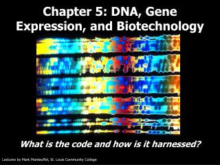 Chapter 5: DNA, Gene Expression, and Biotechnology