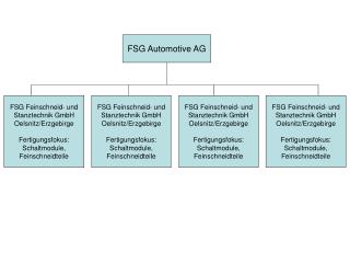 FSG Automotive AG