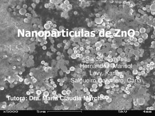 Nanoparticulas de ZnO