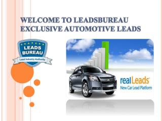 Auto Finance Leads According to Actual Need of The Client