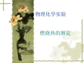 燃烧热的测定