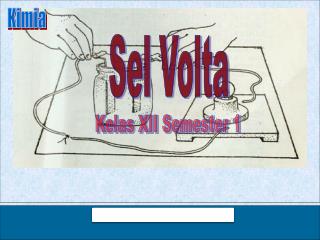 Sel Volta