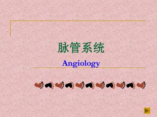 脉管系统 Angiology