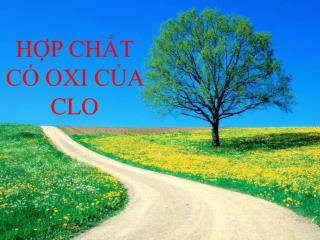 HỢP CHẤT CÓ OXI CỦA CLO