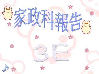 家政科報告