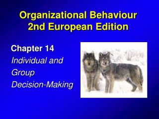 Chapter 14 Individual and Group Decision-Making