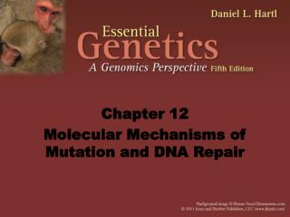 Chapter 12 Molecular Mechanisms of Mutation and DNA Repair