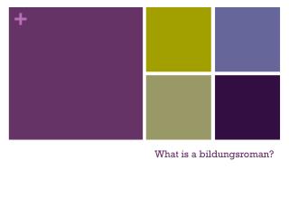 What is a bildungsroman?