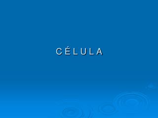 C É L U L A